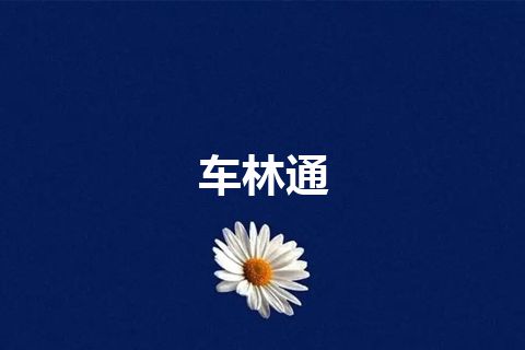 车林通