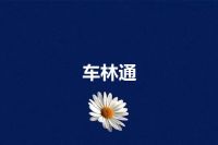 车林通
