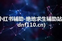 小红书辅助-绝地求生辅助站(dnf110.cn)
