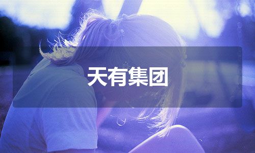 天有集团