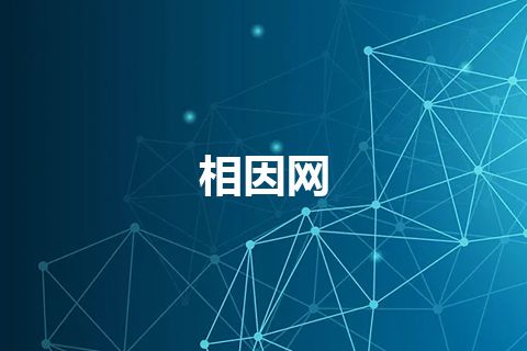 相因网