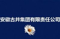 安徽古井集团有限责任公司