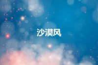沙漠风