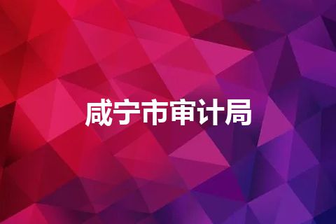 咸宁市审计局