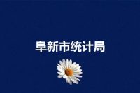 阜新市统计局