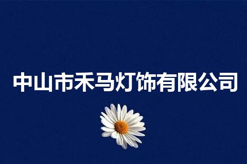 中山市禾马灯饰有限公司