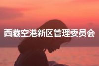 西藏空港新区管理委员会