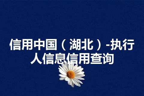 信用中国（湖北）-执行人信息信用查询