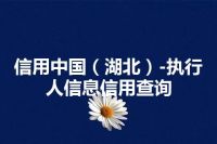 信用中国（湖北）-执行人信息信用查询