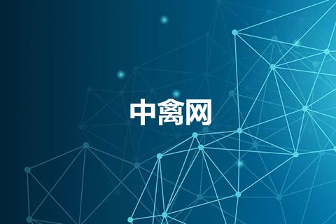 中禽网