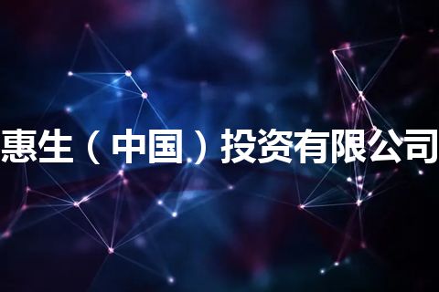 惠生（中国）投资有限公司