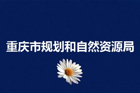 重庆市规划和自然资源局