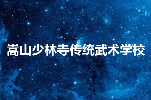 嵩山少林寺传统武术学校