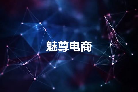 魅尊电商
