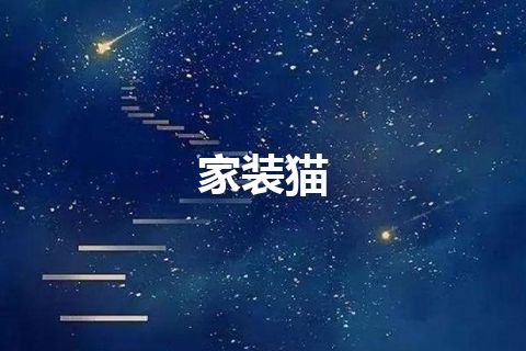 家装猫