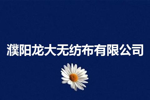濮阳龙大无纺布有限公司