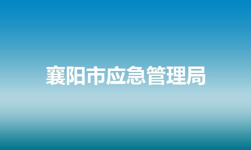 襄阳市应急管理局