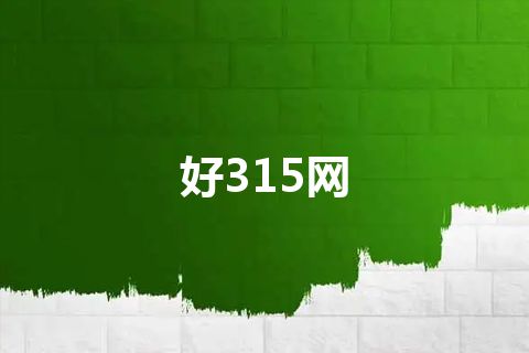 好315网
