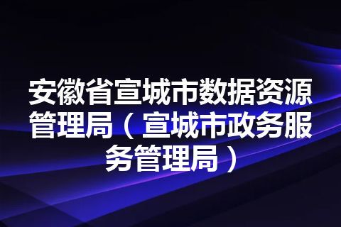 安徽省宣城市数据资源管理局（宣城市政务服务管理局）
