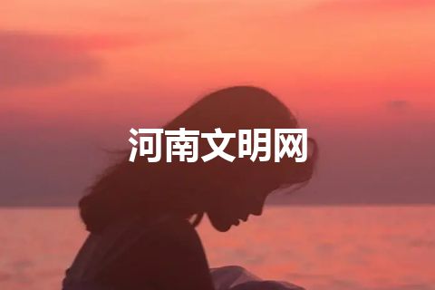 河南文明网
