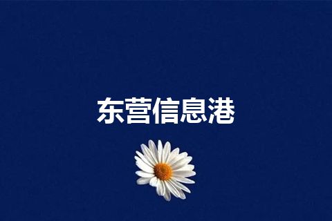 东营信息港