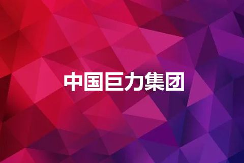 中国巨力集团