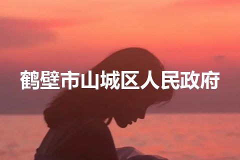 鹤壁市山城区人民政府