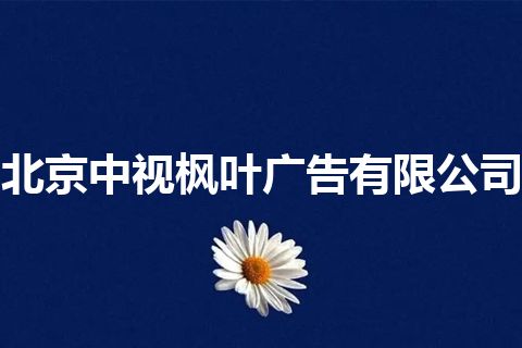 北京中视枫叶广告有限公司