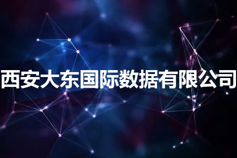 西安大东国际数据有限公司