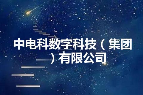 中电科数字科技（集团）有限公司