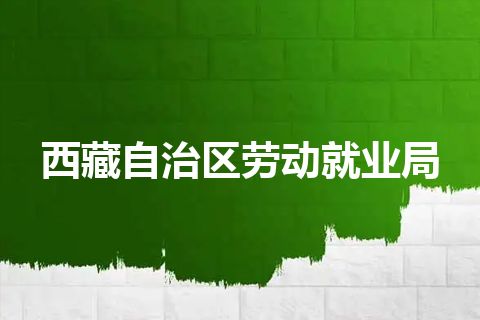 西藏自治区劳动就业局