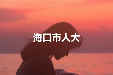 海口市人大