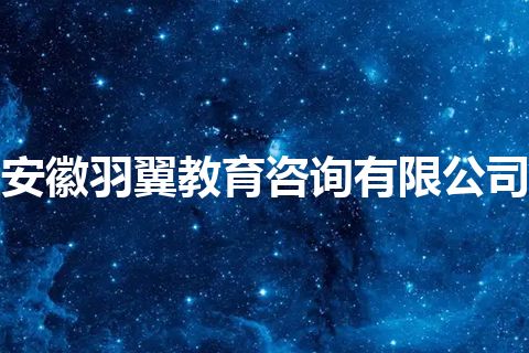 安徽羽翼教育咨询有限公司