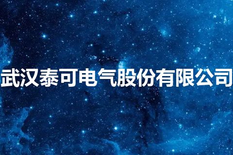 武汉泰可电气股份有限公司