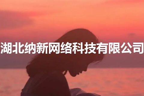 湖北纳新网络科技有限公司