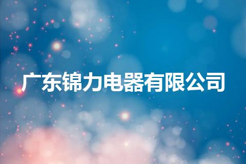 广东锦力电器有限公司