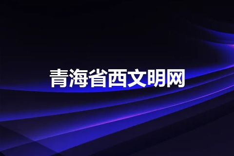 青海省西文明网