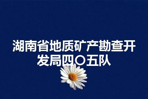湖南省地质矿产勘查开发局四〇五队