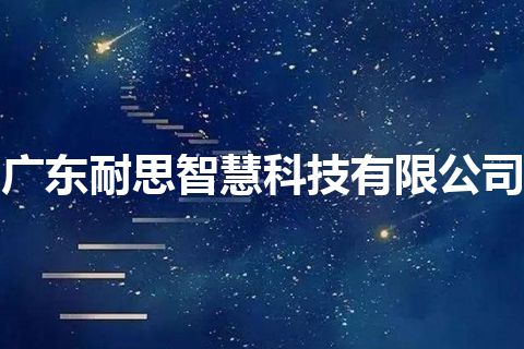 广东耐思智慧科技有限公司