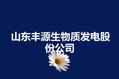 山东丰源生物质发电股份公司