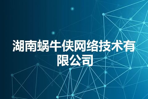 湖南蜗牛侠网络技术有限公司