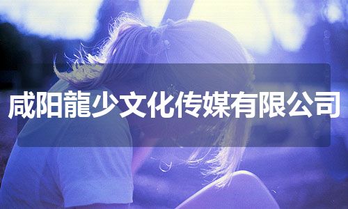 咸阳龍少文化传媒有限公司