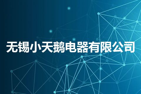 无锡小天鹅电器有限公司