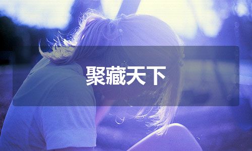 聚藏天下