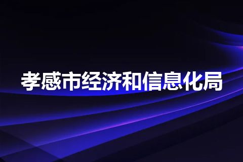 孝感市经济和信息化局