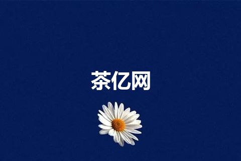 茶亿网