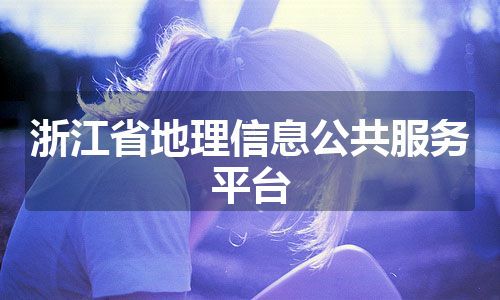 浙江省地理信息公共服务平台