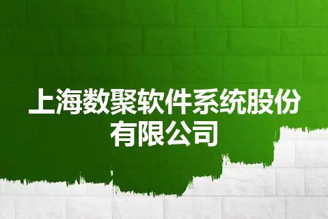上海数聚软件系统股份有限公司