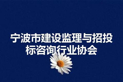 宁波市建设监理与招投标咨询行业协会