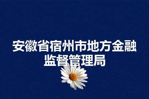 安徽省宿州市地方金融监督管理局
